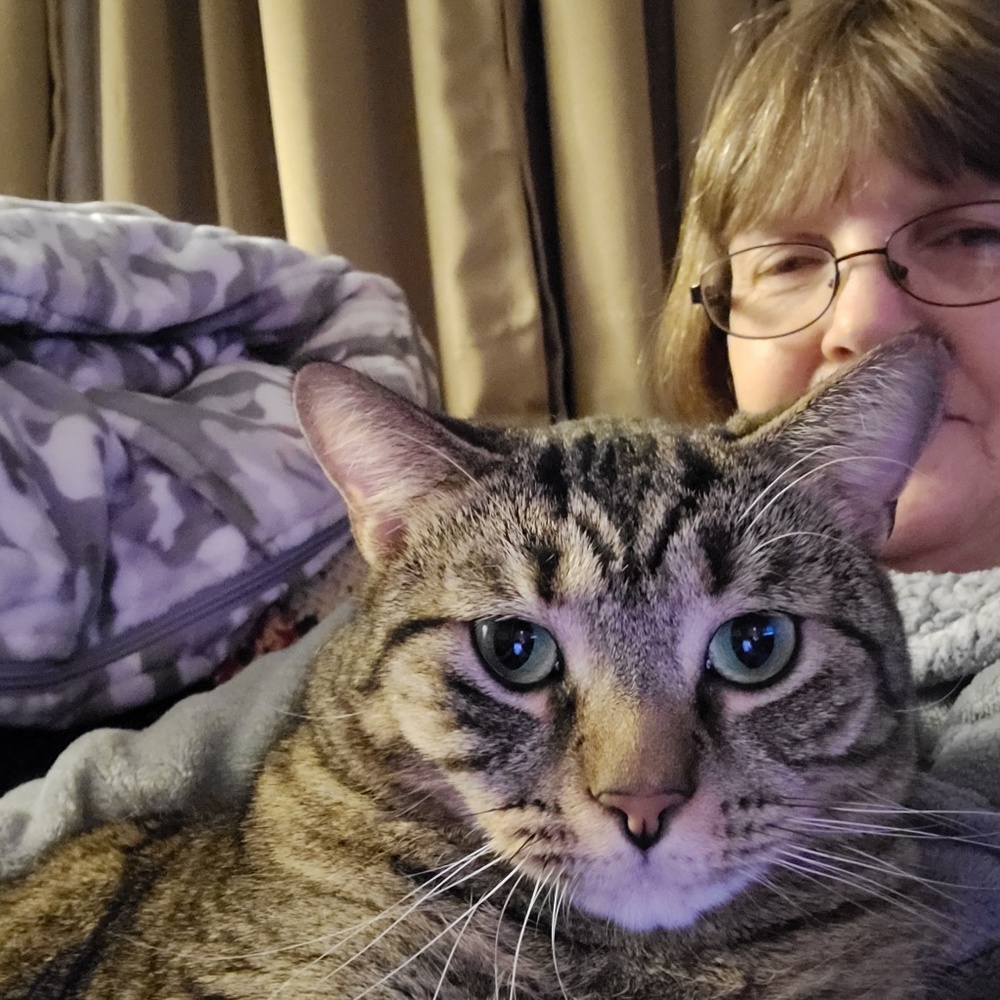 Meet your Posher, Norma
